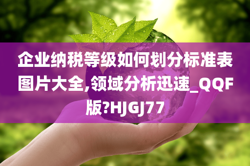 企业纳税等级如何划分标准表图片大全,领域分析迅速_QQF版?HJGJ77