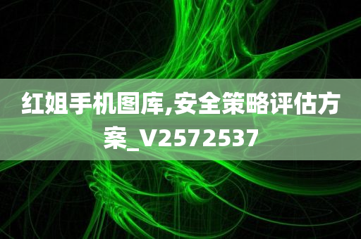 红姐手机图库,安全策略评估方案_V2572537