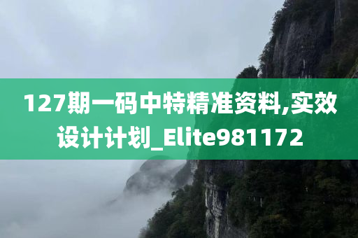 127期一码中特精准资料,实效设计计划_Elite981172