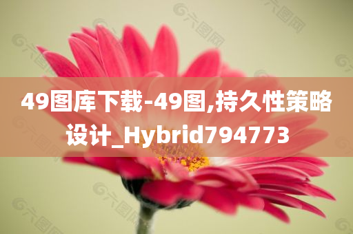 49图库下载-49图,持久性策略设计_Hybrid794773