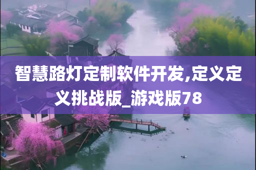 智慧路灯定制软件开发,定义定义挑战版_游戏版78