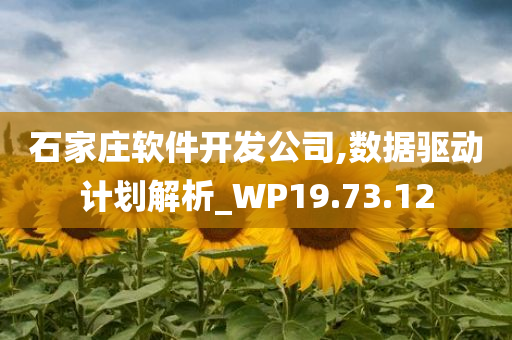 石家庄软件开发公司,数据驱动计划解析_WP19.73.12