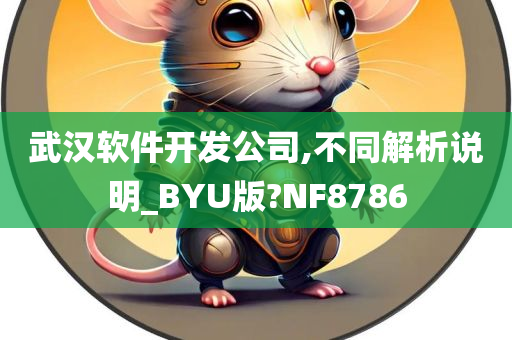 武汉软件开发公司,不同解析说明_BYU版?NF8786