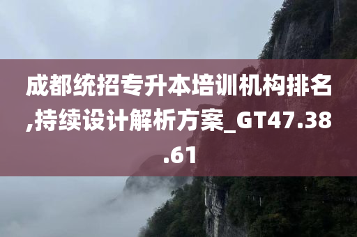 成都统招专升本培训机构排名,持续设计解析方案_GT47.38.61