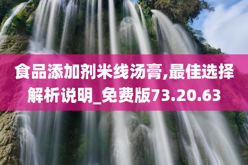 食品添加剂米线汤膏,最佳选择解析说明_免费版73.20.63