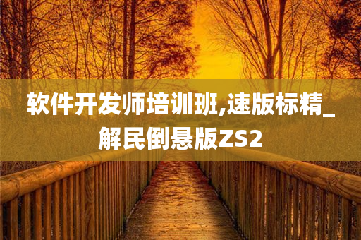 软件开发师培训班,速版标精_解民倒悬版ZS2