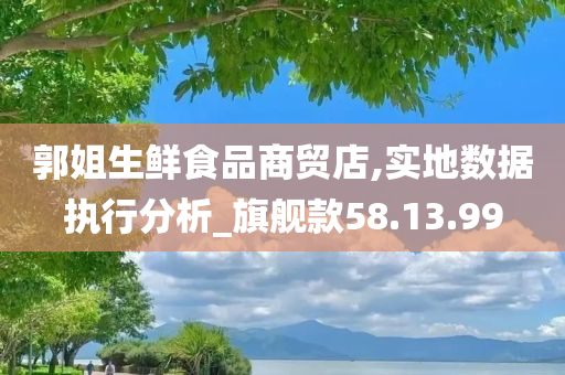 郭姐生鲜食品商贸店,实地数据执行分析_旗舰款58.13.99