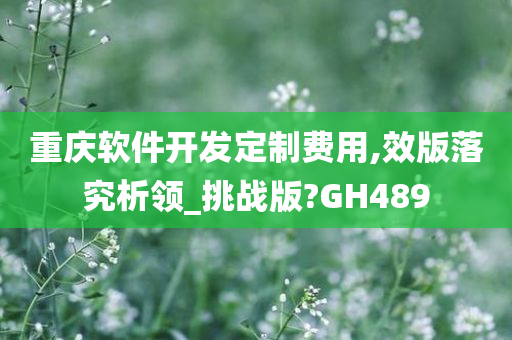 重庆软件开发定制费用,效版落究析领_挑战版?GH489