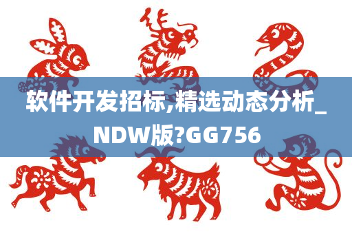 软件开发招标,精选动态分析_NDW版?GG756