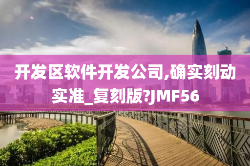 开发区软件开发公司,确实刻动实准_复刻版?JMF56