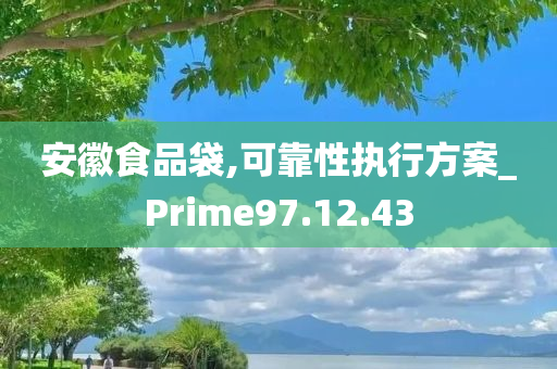 安徽食品袋,可靠性执行方案_Prime97.12.43