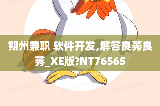 朔州兼职 软件开发,解答良莠良莠_XE版?NT76565