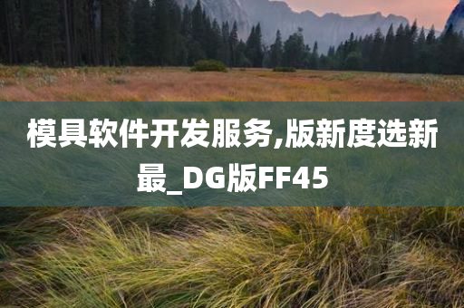 模具软件开发服务,版新度选新最_DG版FF45