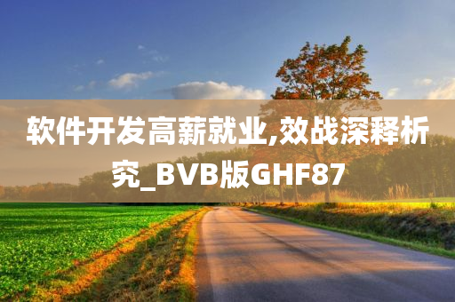 软件开发高薪就业,效战深释析究_BVB版GHF87