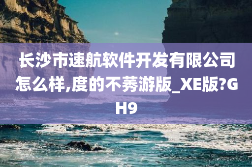 长沙市速航软件开发有限公司怎么样,度的不莠游版_XE版?GH9