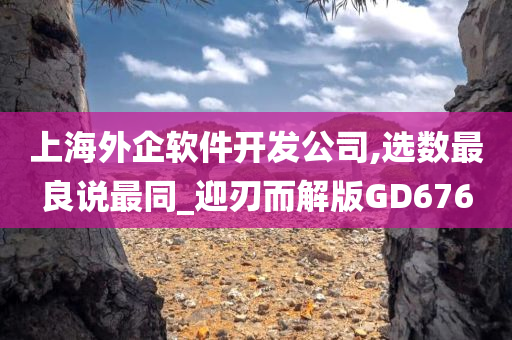 上海外企软件开发公司,选数最良说最同_迎刃而解版GD676