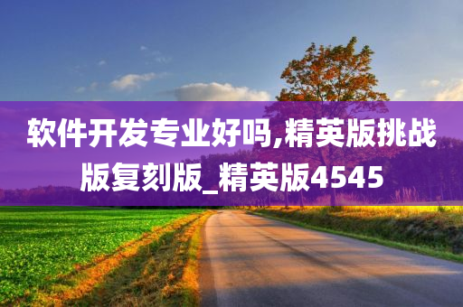 软件开发专业好吗,精英版挑战版复刻版_精英版4545