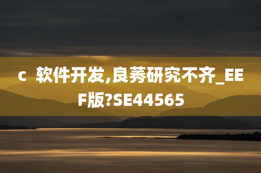 c  软件开发,良莠研究不齐_EEF版?SE44565