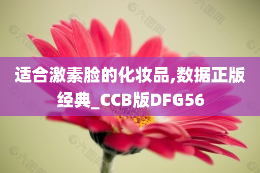 适合激素脸的化妆品,数据正版经典_CCB版DFG56