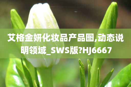 艾格金妍化妆品产品图,动态说明领域_SWS版?HJ6667