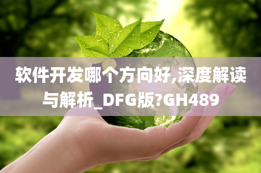 软件开发哪个方向好,深度解读与解析_DFG版?GH489