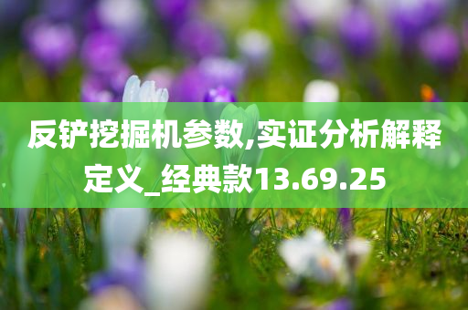 反铲挖掘机参数,实证分析解释定义_经典款13.69.25