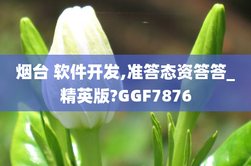 烟台 软件开发,准答态资答答_精英版?GGF7876