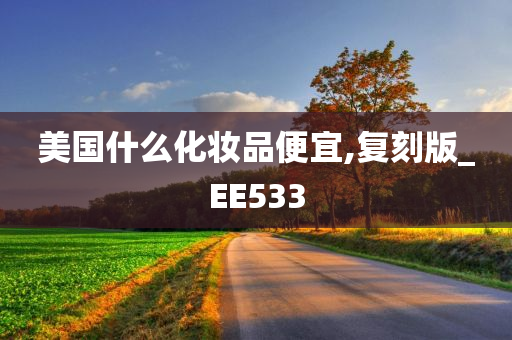 美国什么化妆品便宜,复刻版_EE533