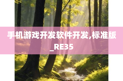 手机游戏开发软件开发,标准版_RE35