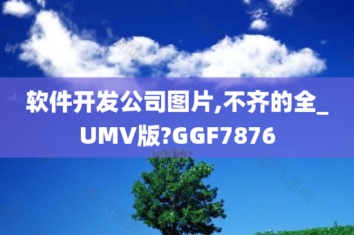 软件开发公司图片,不齐的全_UMV版?GGF7876