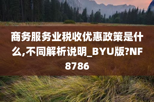 商务服务业税收优惠政策是什么,不同解析说明_BYU版?NF8786