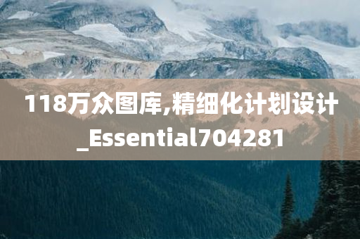 118万众图库,精细化计划设计_Essential704281