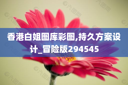 香港白姐图库彩图,持久方案设计_冒险版294545