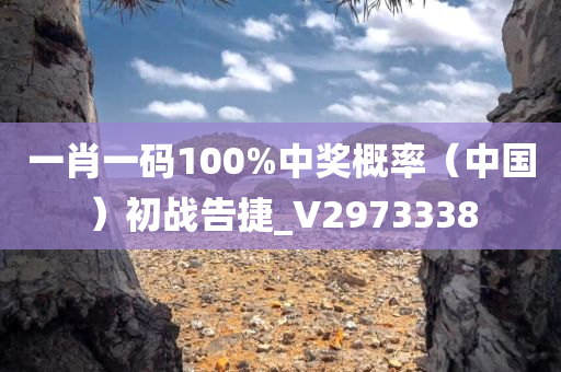 一肖一码100%中奖概率（中国）初战告捷_V2973338