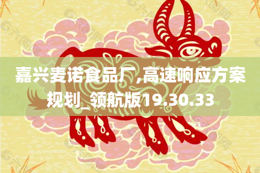 嘉兴麦诺食品厂,高速响应方案规划_领航版19.30.33