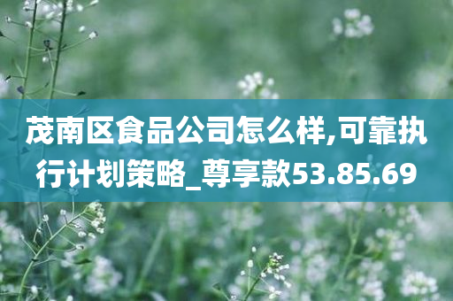 茂南区食品公司怎么样,可靠执行计划策略_尊享款53.85.69