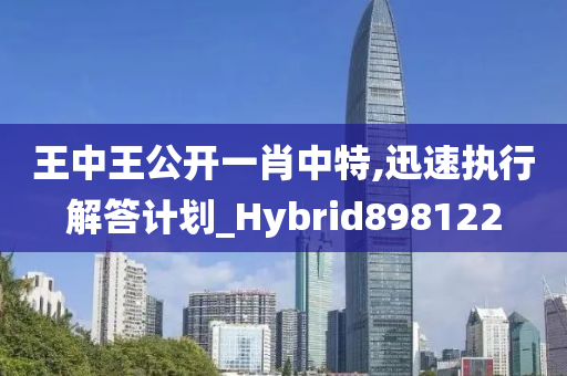 王中王公开一肖中特,迅速执行解答计划_Hybrid898122