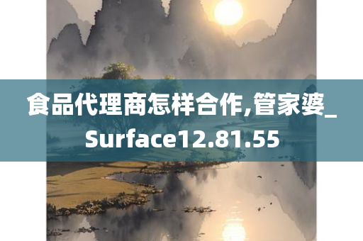 食品代理商怎样合作,管家婆_Surface12.81.55