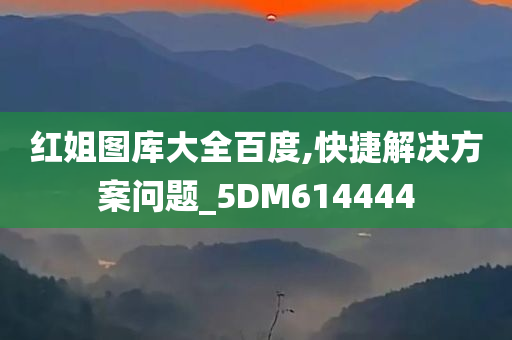 红姐图库大全百度,快捷解决方案问题_5DM614444