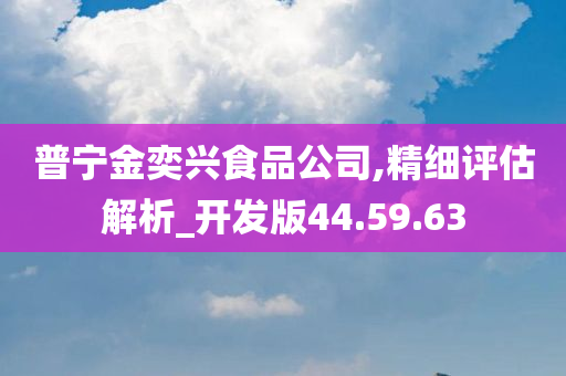 普宁金奕兴食品公司,精细评估解析_开发版44.59.63