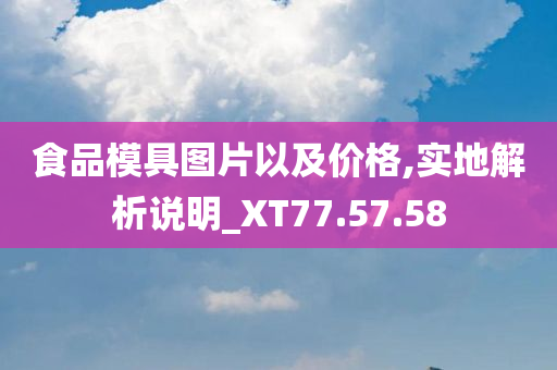 食品模具图片以及价格,实地解析说明_XT77.57.58