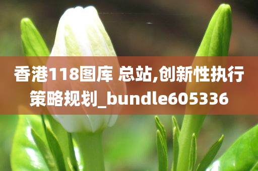 香港118图库 总站,创新性执行策略规划_bundle605336