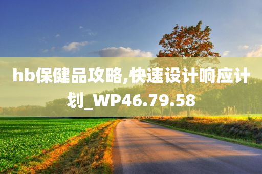 hb保健品攻略,快速设计响应计划_WP46.79.58