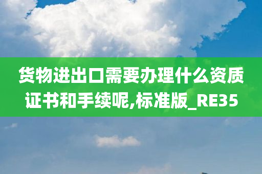 货物进出口需要办理什么资质证书和手续呢,标准版_RE35