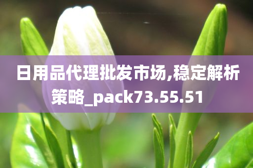 日用品代理批发市场,稳定解析策略_pack73.55.51