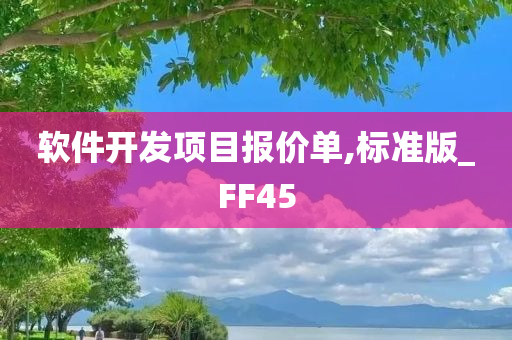 软件开发项目报价单,标准版_FF45