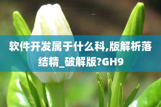 软件开发属于什么科,版解析落结精_破解版?GH9