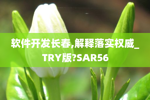 软件开发长春,解释落实权威_TRY版?SAR56