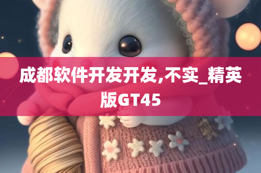 成都软件开发开发,不实_精英版GT45