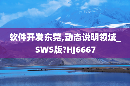 软件开发东莞,动态说明领域_SWS版?HJ6667